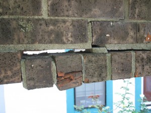 IMG_0170