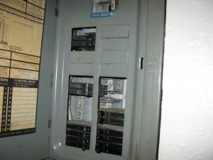 IMG_0221